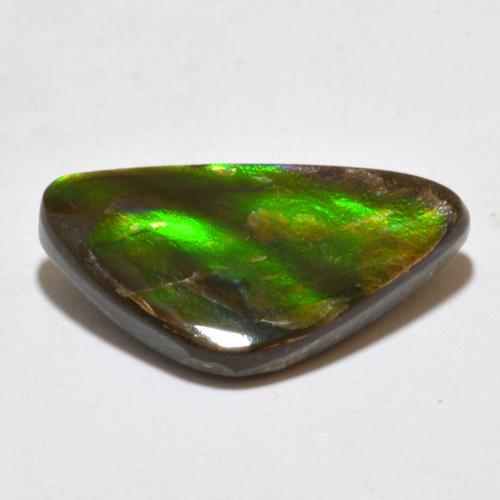 Ammolite naturale multicolore da 7,10 ct, forma fantasia, opaco