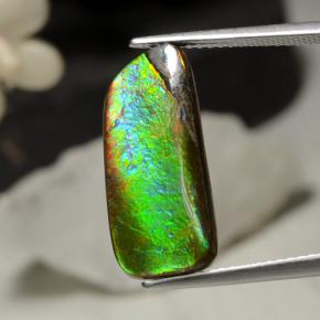 Ammolite naturale multicolore da 5,29 ct, forma fantasia, opaco