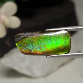 Ammolite naturale multicolore da 5,29 ct, forma fantasia, opaco