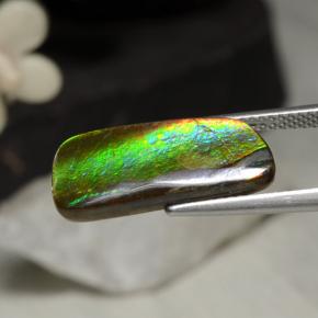 Ammolite naturale multicolore da 5,29 ct, forma fantasia, opaco