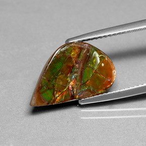 Ammolite naturale multicolore da 3,59 ct, forma fantasia, opaco