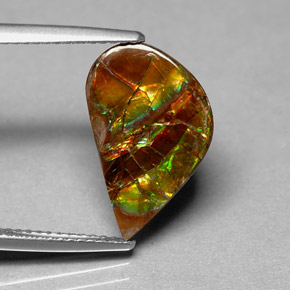 Ammolite naturale multicolore da 3,59 ct, forma fantasia, opaco