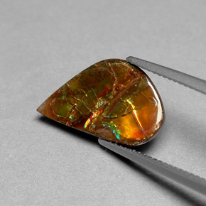 Ammolite naturale multicolore da 3,59 ct, forma fantasia, opaco