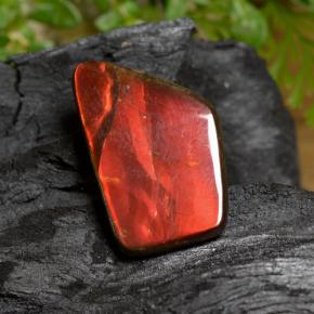 Ammolite Multicolore naturale da 6.67 ct, Forma fantasia, Opaco