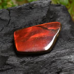 Ammolite Multicolore naturale da 6.67 ct, Forma fantasia, Opaco