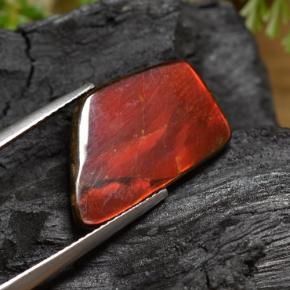 Ammolite Multicolore naturale da 6.67 ct, Forma fantasia, Opaco