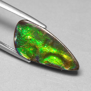 Ammolite Multicolore naturale da 6.97 ct, Forma fantasia, Opaco