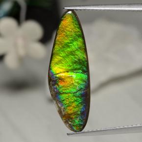 Ammolite naturale multicolore da 5,43 ct, forma fantasia, opaco
