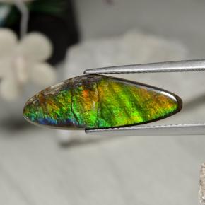Ammolite naturale multicolore da 5,43 ct, forma fantasia, opaco