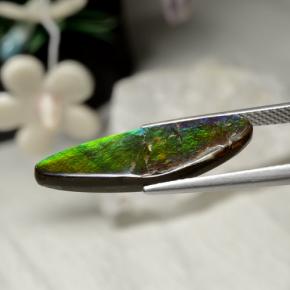 Ammolite naturale multicolore da 5,43 ct, forma fantasia, opaco