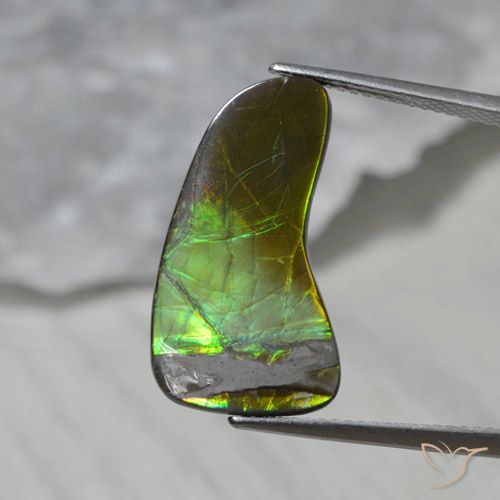 7.43ct Naturale Multicolore Ammolite, Taglio a fantasia, Opaco