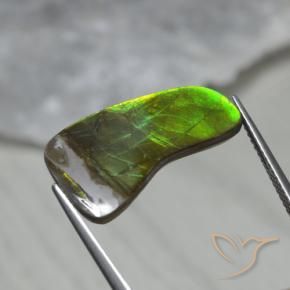 Ammolite Multicolore naturale da 7.43 ct, Taglio a fantasia, Opaco