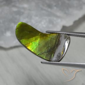 Ammolite Multicolore naturale da 7.43 ct, Taglio a fantasia, Opaco