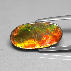 Ammolite Multicolore naturale da 6.13 ct, Forma fantasia, Opaco