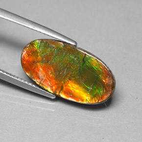 Ammolite Multicolore naturale da 6.13 ct, Forma fantasia, Opaco