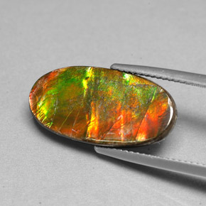 Ammolite Multicolore naturale da 6.13 ct, Forma fantasia, Opaco