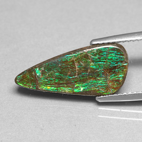 Ammolite multicolore naturale da 3,88 ct, forma fantasia, opaco