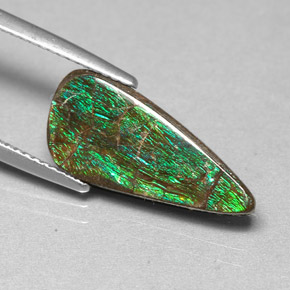 Ammolite multicolore naturale da 3,88 ct, forma fantasia, opaco