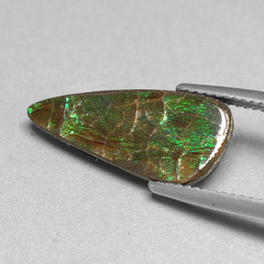 Ammolite multicolore naturale da 3,88 ct, forma fantasia, opaco