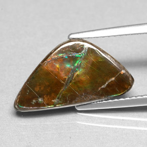 Ammolite Multicolore naturale da 3.46 ct, Forma fantasia, Opaco