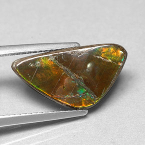 Ammolite Multicolore naturale da 3.46 ct, Forma fantasia, Opaco