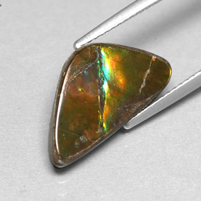 Ammolite Multicolore naturale da 3.46 ct, Forma fantasia, Opaco