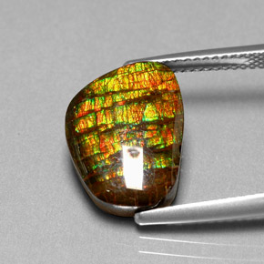 Ammolite naturale multicolore da 6,74 ct, forma fantasia, opaco