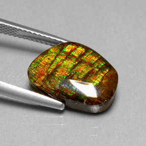 Ammolite naturale multicolore da 6,74 ct, forma fantasia, opaco