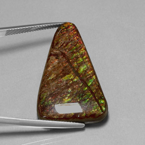 Ammolite Multicolore naturale da 31.62 ct, Forma fantasia, Opaco