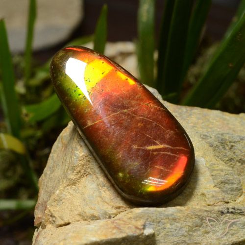 23.51ct Naturale Multicolore Ammolite, Taglio a fantasia, Opaco