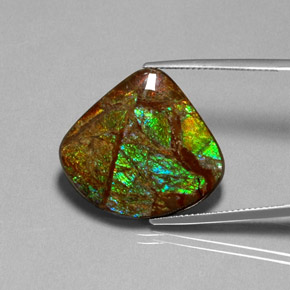 Ammolite naturale multicolore da 18,68 ct, forma fantasia, opaco