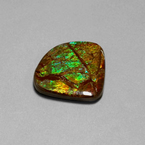 Ammolite naturale multicolore da 18,68 ct, forma fantasia, opaco