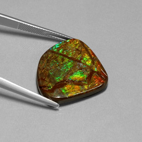 Ammolite naturale multicolore da 18,68 ct, forma fantasia, opaco