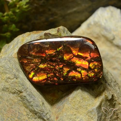 17.42ct Naturale Multicolore Ammolite, Taglio a fantasia, Opaco