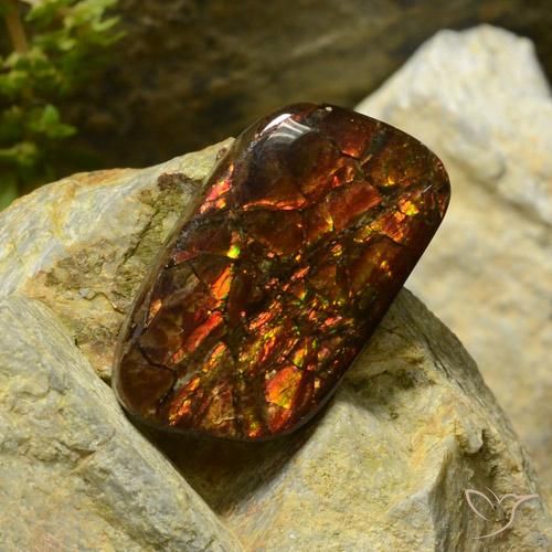 Ammolite Multicolore naturale da 17.42 ct, Taglio a fantasia, Opaco