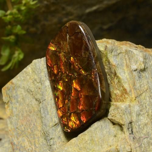 Ammolite Multicolore naturale da 17.42 ct, Taglio a fantasia, Opaco