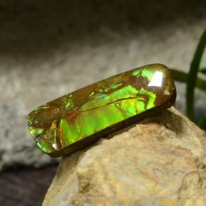 Ammolite Multicolore naturale da 17.42 ct, Taglio a fantasia, Opaco