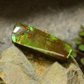 Ammolite Multicolore naturale da 17.42 ct, Taglio a fantasia, Opaco