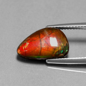 Ammolite multicolore naturale da 4,85 ct, forma fantasia, opaco