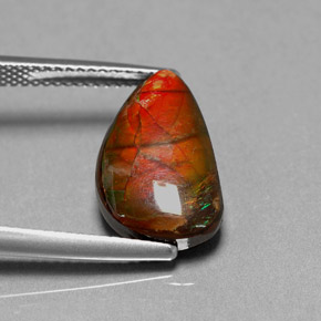 Ammolite multicolore naturale da 4,85 ct, forma fantasia, opaco