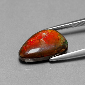 Ammolite multicolore naturale da 4,85 ct, forma fantasia, opaco