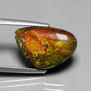 Ammolite naturale multicolore da 5,71 ct, forma fantasia, opaco