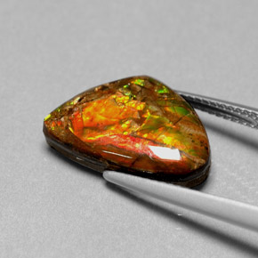 Ammolite naturale multicolore da 5,71 ct, forma fantasia, opaco