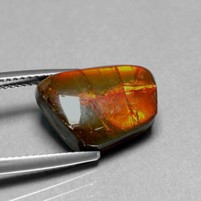 Ammolite naturale multicolore da 6,41 ct, forma fantasia, opaco