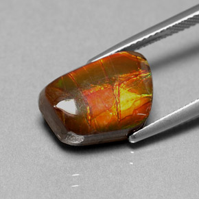 Ammolite naturale multicolore da 6,41 ct, forma fantasia, opaco