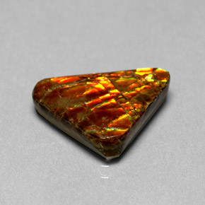 Ammolite naturale multicolore da 6,44 ct, forma fantasia, opaco