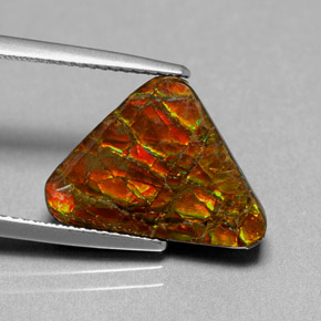 Ammolite naturale multicolore da 6,44 ct, forma fantasia, opaco
