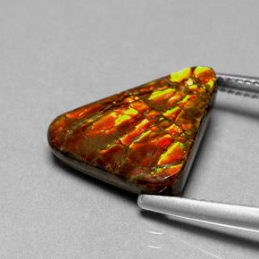 Ammolite naturale multicolore da 6,44 ct, forma fantasia, opaco