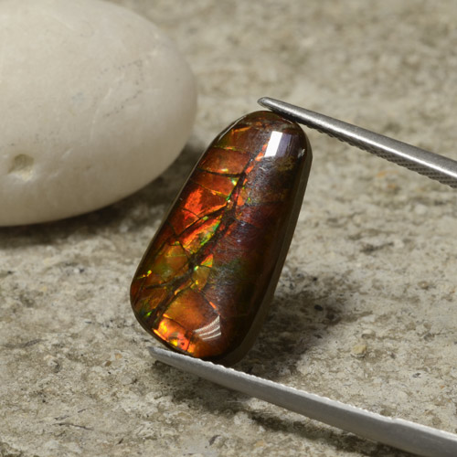 Ammolite naturale multicolore da 6,70 ct, forma fantasia, opaco