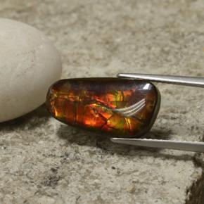 Ammolite naturale multicolore da 6,70 ct, forma fantasia, opaco